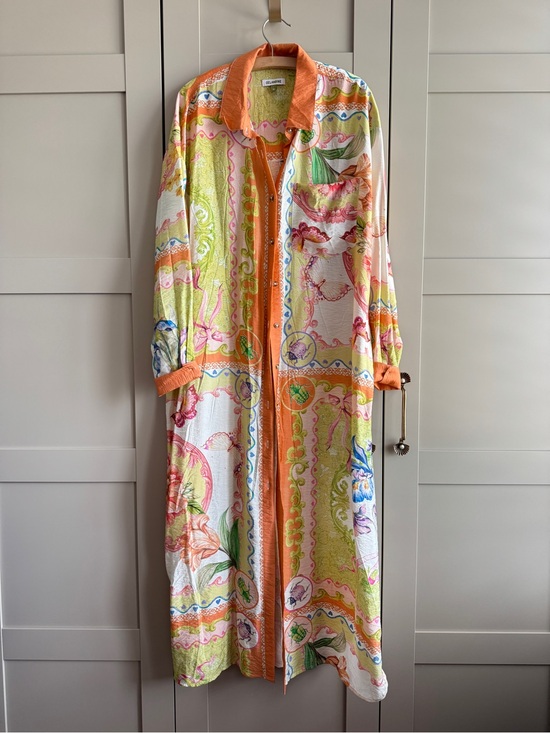Anthropologie Dresses & Skirts - Celandine Long-Sleeve Sheer Maxi Shirt Dress Anthropologie Spring Summer Print 🐞